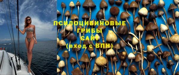 мет Новодвинск