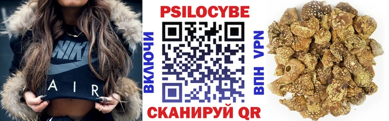 где купить наркотик  Советская Гавань  Псилоцибиновые грибы мухоморы 