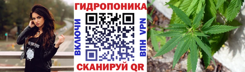 Конопля Ganja  купить наркоту  ссылка на мегу   Советская Гавань 